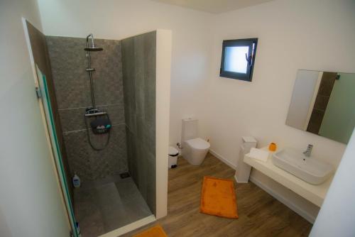 uma casa de banho com um chuveiro, um WC e um lavatório. em Villa Rosa em Porto Moniz