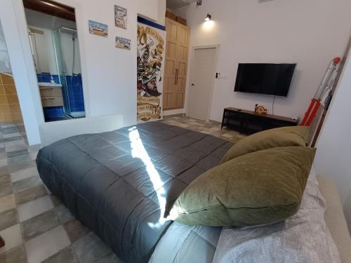 1 dormitorio con 1 cama con almohadas y TV de pantalla plana en Rincones de Darío: Capítulo I, en Campo de Criptana