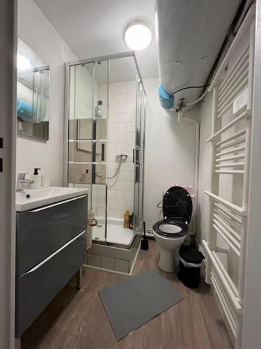 Koupelna v ubytování Gîte la perle rose 50 m²