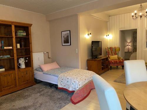 Schlafzimmer mit einem Bett, einem TV und einem Tisch in der Unterkunft Ferienwohnung Holland 5 in Lügde