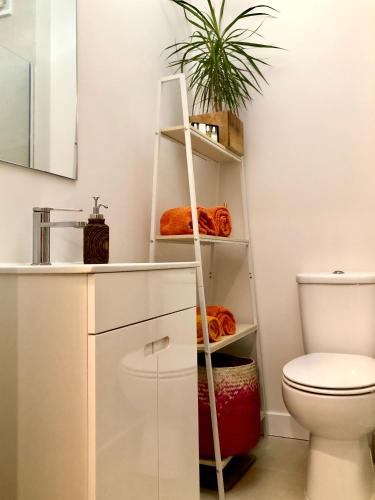 a bathroom with a ladder next to a toilet at Modern City Center Apartment in Torres Vedras