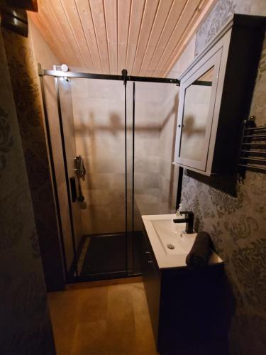 a bathroom with a shower and a sink at NEU Luxuriöses Tinyhaus Ferienhaus FREYR einmalig in Lübbenau in Klein Klessow