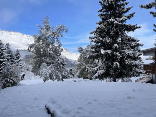 pokryty śniegiem dziedziniec z drzewami i dom w obiekcie Studio 2 Alpes 1800, pied des pistes w mieście Les Deux Alpes