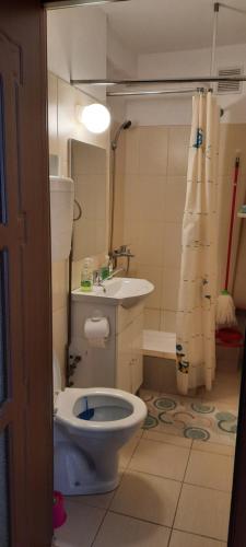 bagno con servizi igienici e lavandino di Ultracentral free private parking a Ploieşti