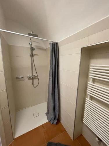 a bathroom with a shower with a shower curtain at Altstadt Apartment in Steyr