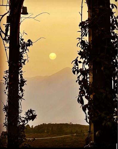 an open window with a view of a mountain at Nidimos Hotel in Delfoi