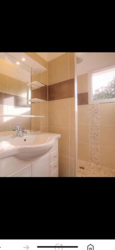 une salle de bain avec un lavabo et une douche dans l'établissement Villa les oliviers, à Olmeto