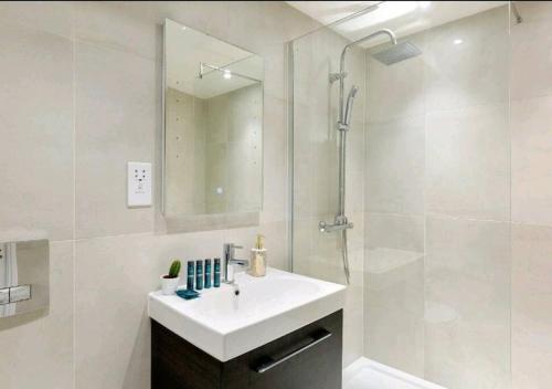 倫敦的住宿－Premier Central London North Apartment，白色的浴室设有水槽和淋浴。