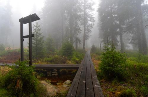 a wooden bridge in a foggy forest with a cross at Horská bouda Krakonoš in Pec pod Sněžkou