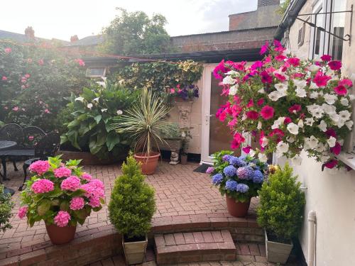 a bunch of flowers in pots on a patio at The Swallow Hotel in Bridlington