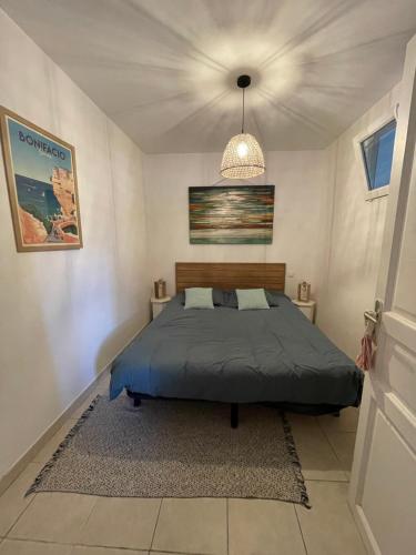 une chambre avec un lit et un lustre dans l'établissement Appartement meublé Porto vecchio, à Porto-Vecchio