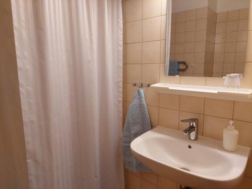 a bathroom with a sink and a shower curtain at Birgittagården in Falun