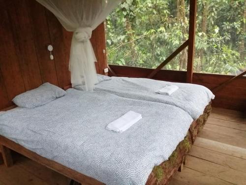 Bett in einem Zimmer mit Fenster in der Unterkunft Cabaña Leucopternis - in the middle of Amazon forest in Orito