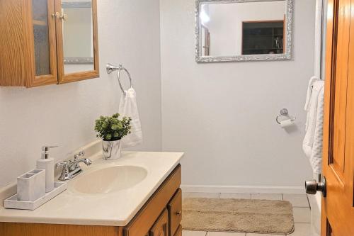 un bagno con lavandino e specchio di Hot Springs Hideaway (Downstairs Unit) a Pagosa Springs