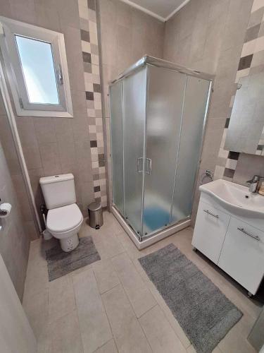 La salle de bains est pourvue d'une douche, de toilettes et d'un lavabo. dans l'établissement Marianna's House, à Galata