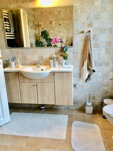 a bathroom with a sink and a mirror and a toilet at NordsoeHousing-Rørby in Kalundborg