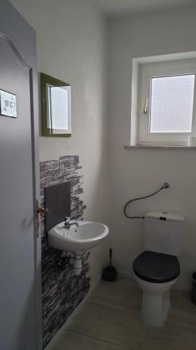une salle de bain avec un lavabo et des toilettes dans l'établissement Appartement les mirabelles entre Strasbourg et Haguenau, à Bischwiller