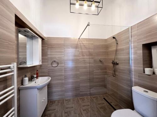 een badkamer met een douche, een toilet en een wastafel bij Studio Excelsior 1 in Sibiu