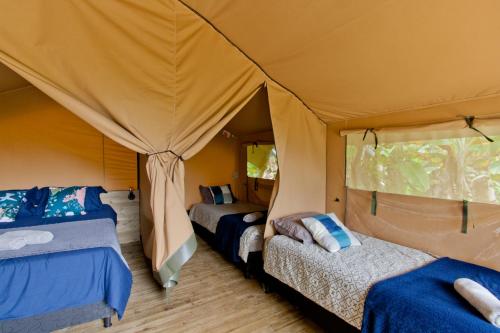 a tent with three beds in a room at Glamping Jardín in Jardin