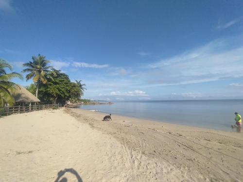 Uma praia perto do apartamento