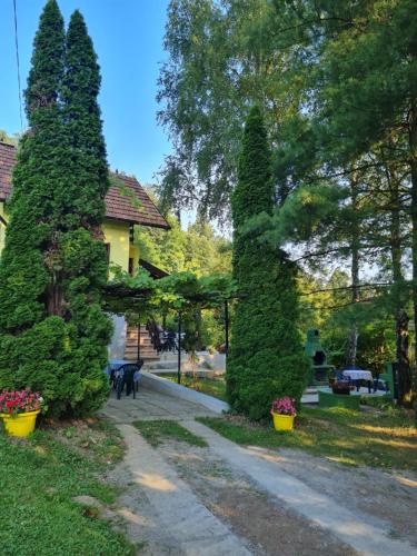 two tall trees and two dogs walking down a sidewalk at Vikendica Alisa in Doboj