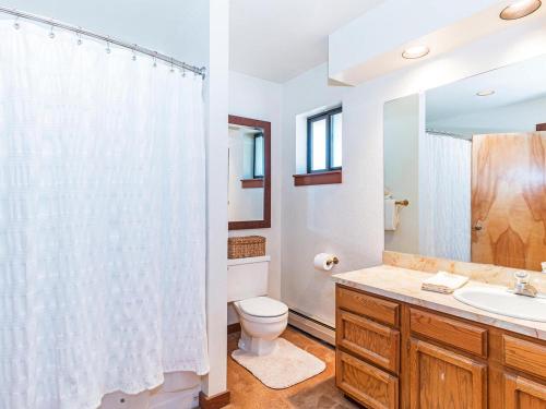 uma casa de banho com um WC, um lavatório e um espelho. em A great mountain home offering amenities that makes for a great getaway in Lake Tahoe em Incline Village