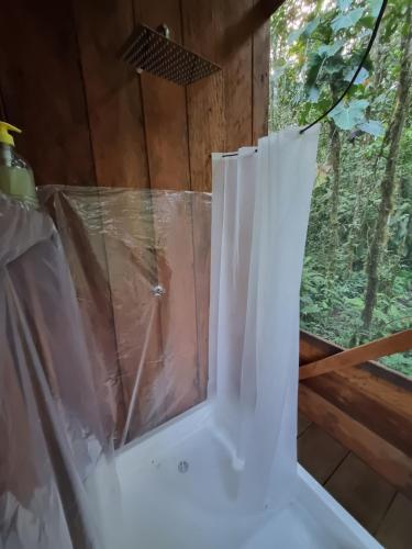eine Dusche in einer Kabine mit Fenster in der Unterkunft Cabaña Leucopternis - in the middle of Amazon forest in Orito