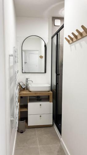 une salle de bain avec un lavabo et un miroir dans l'établissement Appartement 4 étoiles en centre ville de Vichy - Le Basile, à Vichy