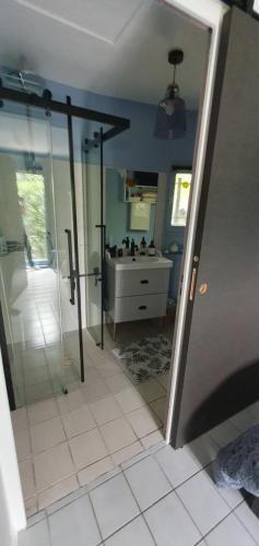 une salle de bain avec douche et lavabo dans l'établissement Mas bleu île des pêcheurs, au Barcarès