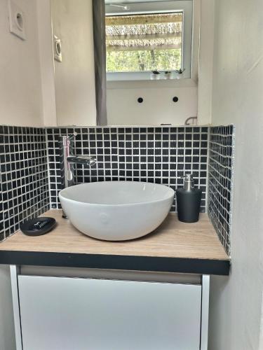 a bathroom with a large white bowl sink on a counter at Les gîtes de L'Isle Jourdain in Pujaudran