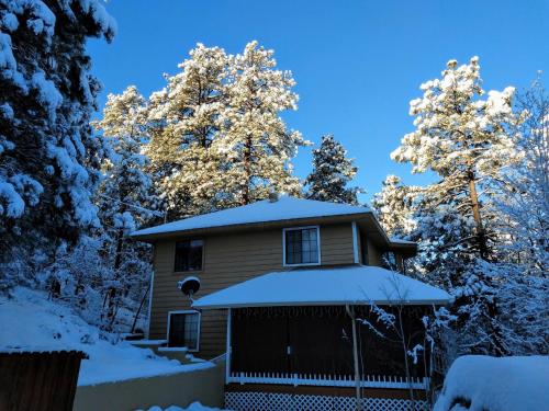 a house covered in snow with trees at Sheridan House Inn- Adult Only Accommodation in Williams