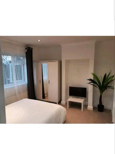 a bedroom with a bed and a tv and a potted plant at Mirandas Place in Gillingham