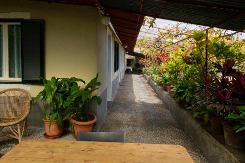 Foto dalla galleria di CASA do BOTO a Santa Cruz