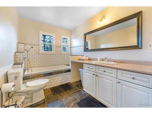 a bathroom with a toilet and a sink and a tub at Private 4 bed/3 bath Pet Friendly Home on 2 acres in Delta