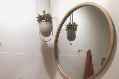 a mirror with two potted plants on a wall at Spacious Unit in Convenient Location in Yarrawonga
