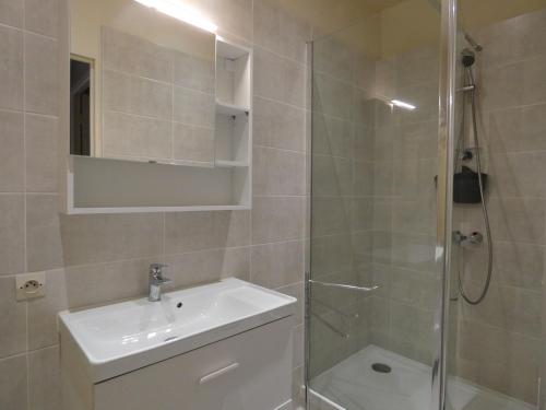 une salle de bain avec une douche, un lavabo et des toilettes dans l'établissement Charmante maison de ferme avec pigeonnier, jardin, cheminée et salle de jeux à Aufferville - FR-1-581-38, à Luplanté