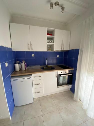 Η κουζίνα ή μικρή κουζίνα στο Apartments with a parking space Cove Osobjava, Peljesac - 21944