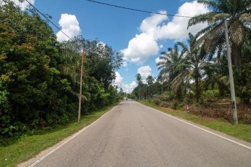 an empty road with palm trees on either side at Romi Homestay Wakaf Tapai in Marang