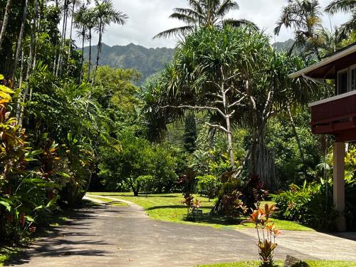 a road leading to a house with palm trees at River Estate Riverhouse in Hanalei