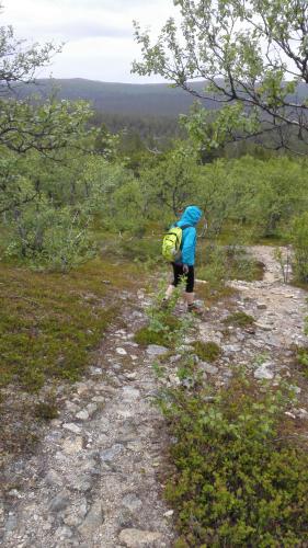 a person with a backpack walking on a rocky trail at Lemmenjoen Lumo - Nature Experience & Accommodation in Lemmenjoki