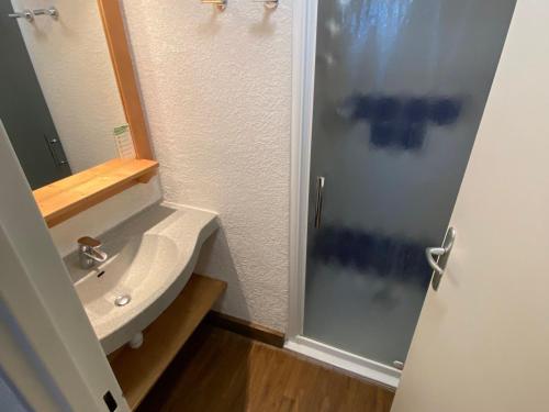 une salle de bain avec un lavabo et une douche dans l'établissement Charmant appartement à Autrans, 4 pers, 34m², balcon, proche pistes et centre village - FR-1-737-76, à Autrans