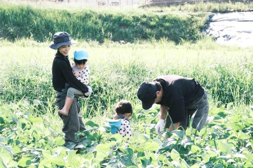 Гости 田万里家 FARM STAY / Tamari Ya FARM STAY
