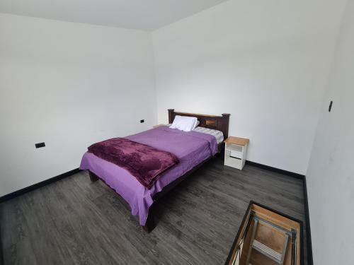 聖何塞的住宿－Casa Murillo，一间卧室配有一张带紫色床单和镜子的床