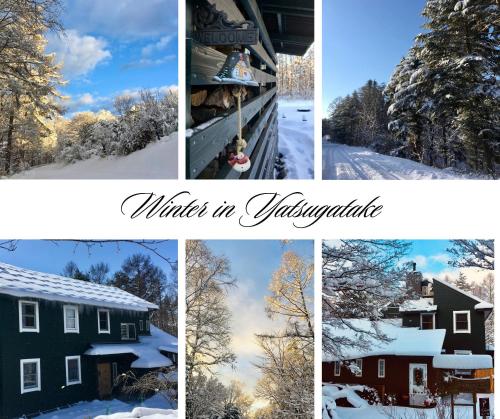a collage of pictures of winter in yakushima at Julian's English Homestay and Pension in Fujimi