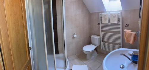 a small bathroom with a toilet and a sink at Penzion Olga Hajasova in Bojnice