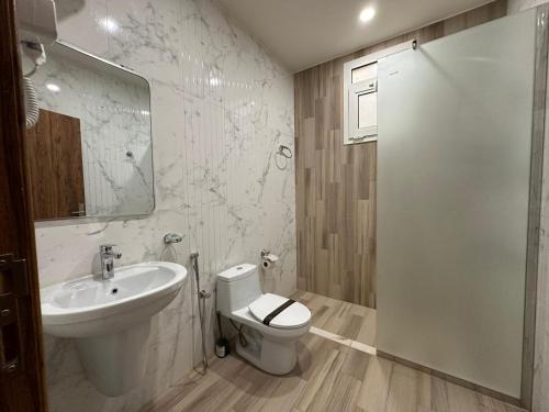 納季蘭的住宿－فندق وفلل مون تري，一间带水槽、卫生间和镜子的浴室