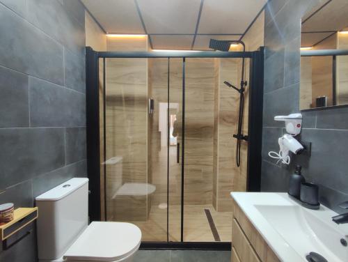 a bathroom with a shower with a toilet and a sink at Ohana home 1 in Málaga