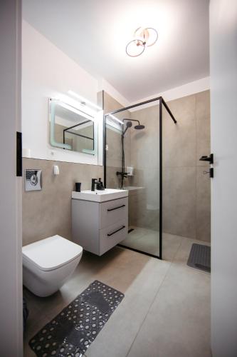 a bathroom with a toilet and a sink and a shower at L&V Family Studio in Sinaia