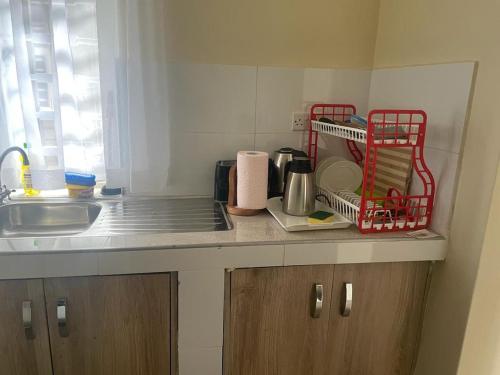 a kitchen counter with a sink and a red drying rack at Lux Suites Narok Holiday Homes in Narok