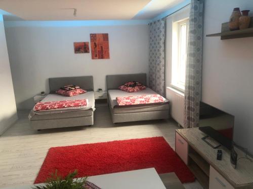 Apart chez willi 2 – Photos 3